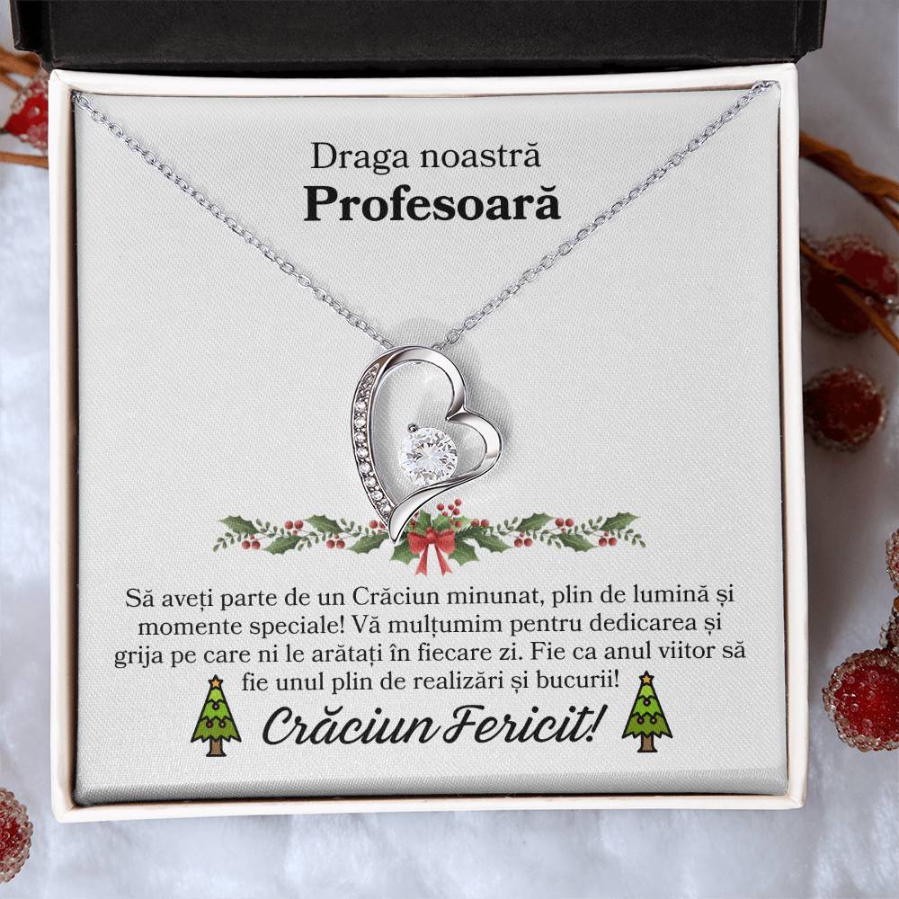 Cadou de Craciun pentru Profesoara
