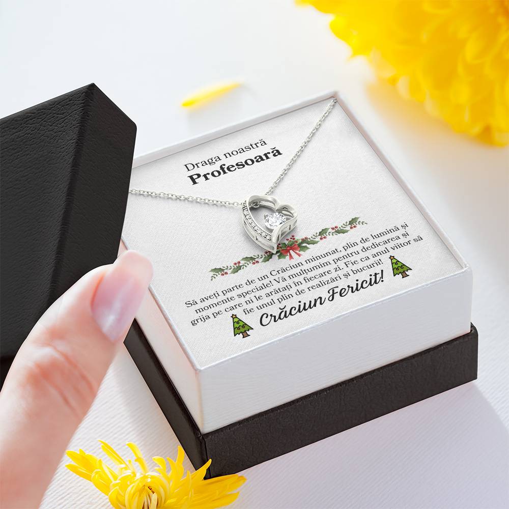 Cadou de Craciun pentru Profesoara