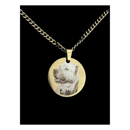 Lanțișor Placat cu Aur 14K - Personalizat cu Poză ta