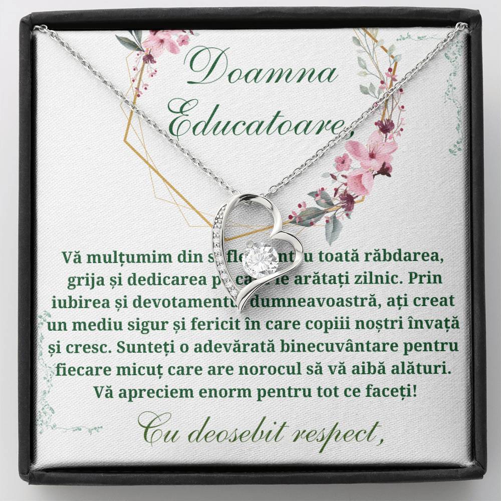 Cadou Doamna Educatoare 