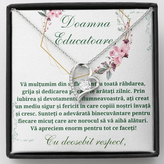Cadou Doamna Educatoare 