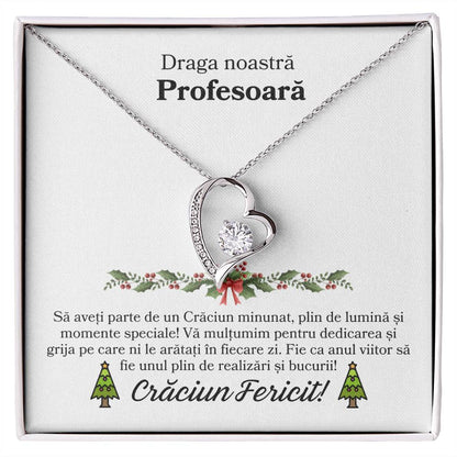 Cadou de Craciun pentru Profesoara mea 