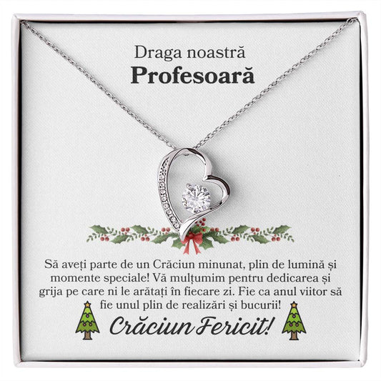 Cadou de Craciun pentru Profesoara mea 