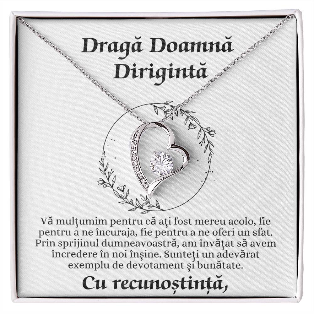 Cadou pentru Doamna Diriginta 