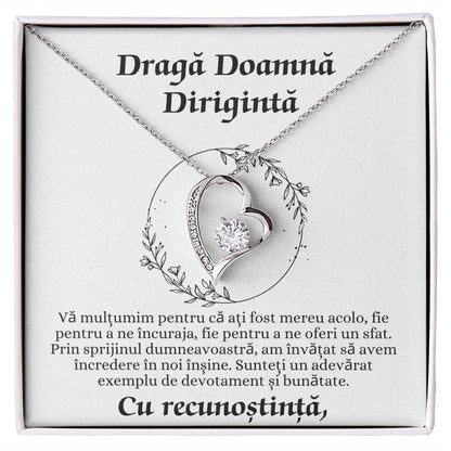 Cadou pentru Doamna Diriginta 
