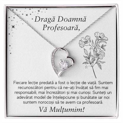 Cadou pentru Doamna Profesoara