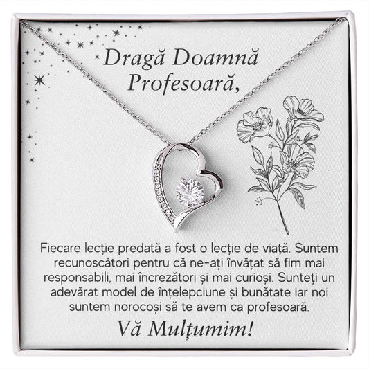 Cadou pentru Doamna Profesoara