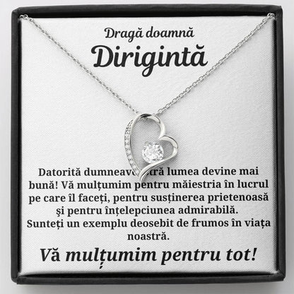 Cadou pentru doamna Dirigintă