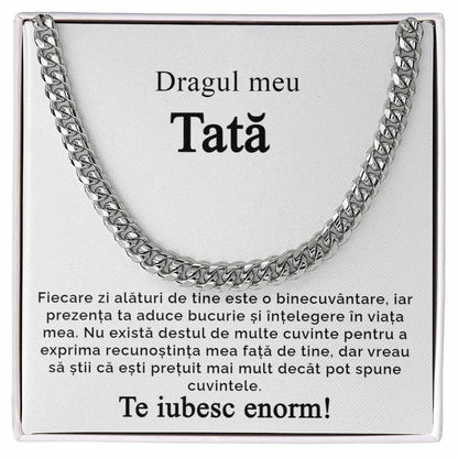 Dragul meu tată 