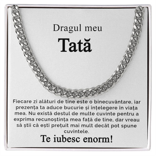 Dragul meu tată 