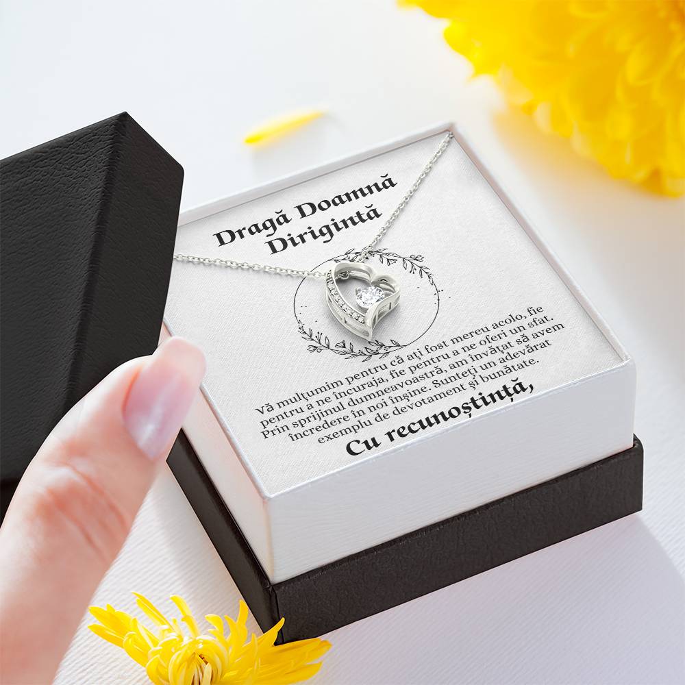 cadou diriginta recunostinta