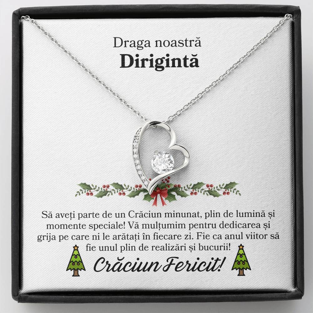 cadou doamna diriginta craciun