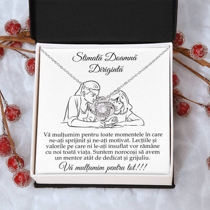 idee cadou doamna diriginta
