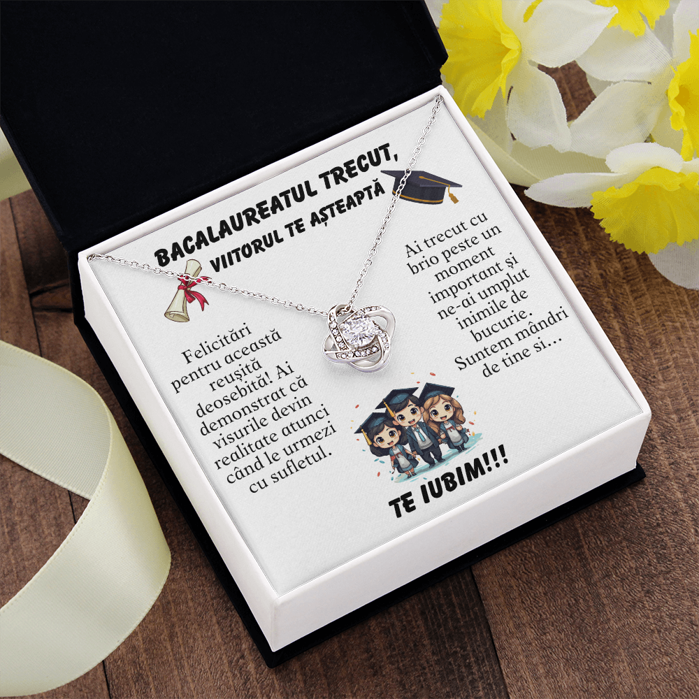 lantisor gravat bacalaureat